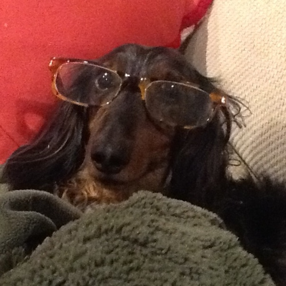 Meet your Posher, Pamela